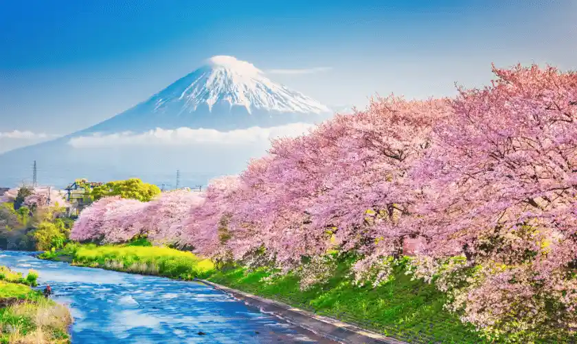 Japan : Tokyo to Kyoto - 22 day travel itinerary